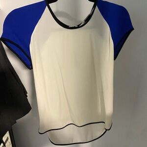 Diane Von Furstenberg Business Shirt